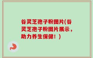 谷灵芝孢子粉图片(谷灵芝孢子粉图片展示，助力养生保健！)