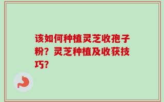 该如何种植灵芝收孢子粉？灵芝种植及收获技巧？