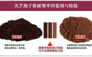 灵芝孢子粉有什么营养？你还不知道吗？