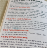 灵芝孢子粉主治什么病？竟然还有它