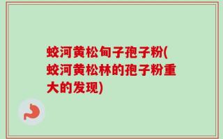 蛟河黄松甸子孢子粉(蛟河黄松林的孢子粉重大的发现)