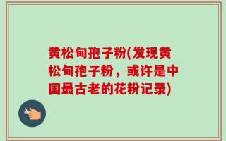 黄松甸孢子粉(发现黄松甸孢子粉，或许是中国最古老的花粉记录)