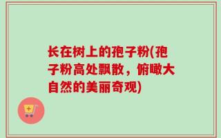 长在树上的孢子粉(孢子粉高处飘散，俯瞰大自然的美丽奇观)