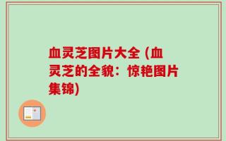 血灵芝图片大全 (血灵芝的全貌：惊艳图片集锦)