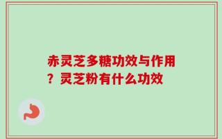 赤灵芝多糖功效与作用？灵芝粉有什么功效