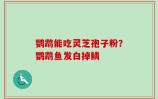鹦鹉能吃灵芝孢子粉？鹦鹉鱼发白掉鳞