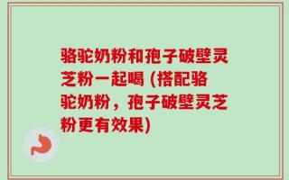 骆驼奶粉和孢子破壁灵芝粉一起喝 (搭配骆驼奶粉，孢子破壁灵芝粉更有效果)