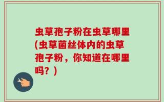 虫草孢子粉在虫草哪里(虫草菌丝体内的虫草孢子粉，你知道在哪里吗？)
