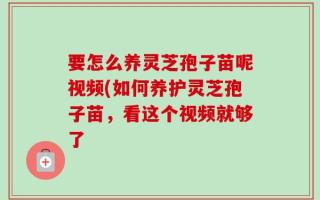 要怎么养灵芝孢子苗呢视频(如何养护灵芝孢子苗，看这个视频就够了