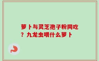 萝卜与灵芝孢子粉同吃？九龙虫喂什么萝卜