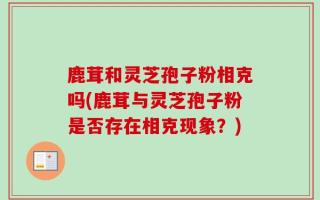 鹿茸和灵芝孢子粉相克吗(鹿茸与灵芝孢子粉是否存在相克现象？)