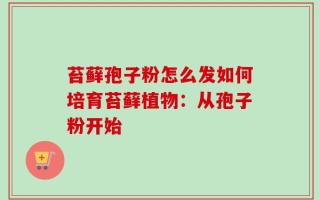 苔藓孢子粉怎么发如何培育苔藓植物：从孢子粉开始