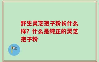 野生灵芝孢子粉长什么样？什么是纯正的灵芝孢子粉