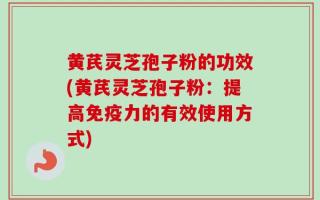 黄芪灵芝孢子粉的功效(黄芪灵芝孢子粉：提高免疫力的有效使用方式)