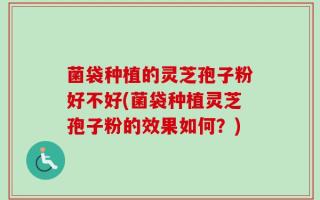 菌袋种植的灵芝孢子粉好不好(菌袋种植灵芝孢子粉的效果如何？)