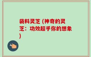袋料灵芝 (神奇的灵芝：功效超乎你的想象)