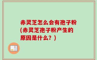赤灵芝怎么会有孢子粉(赤灵芝孢子粉产生的原因是什么？)