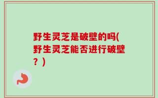 野生灵芝是破壁的吗(野生灵芝能否进行破壁？)