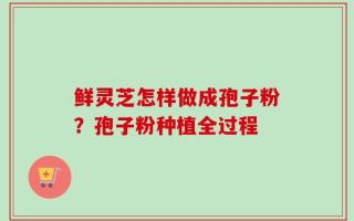 鲜灵芝怎样做成孢子粉？孢子粉种植全过程