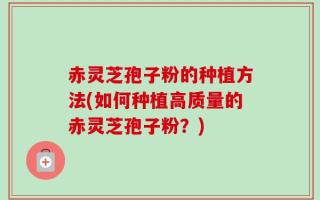 赤灵芝孢子粉的种植方法(如何种植高质量的赤灵芝孢子粉？)