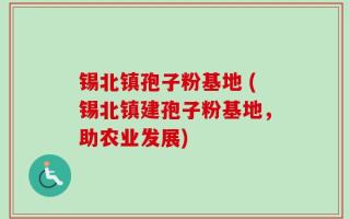 锡北镇孢子粉基地 (锡北镇建孢子粉基地，助农业发展)