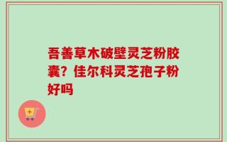 吾善草木破壁灵芝粉胶囊？佳尔科灵芝孢子粉好吗
