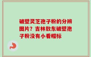 破壁灵芝孢子粉的分辨图片？吉林敖东破壁孢子粉没有小看帽标