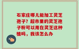 石家庄哪儿能加工灵芝孢子？超市里的灵芝孢子粉可以用在灵芝这种植吗，我该怎么办