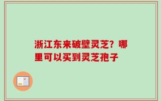 浙江东来破壁灵芝？哪里可以买到灵芝孢子