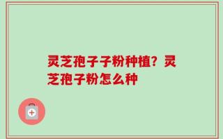灵芝孢子子粉种植？灵芝孢子粉怎么种