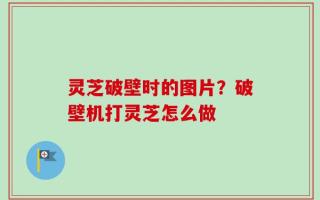 灵芝破壁时的图片？破壁机打灵芝怎么做