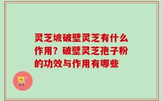 灵芝坡破壁灵芝有什么作用？破壁灵芝孢子粉的功效与作用有哪些