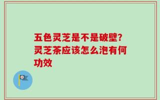 五色灵芝是不是破壁？灵芝茶应该怎么泡有何功效