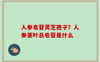 人参皂苷灵芝孢子？人参茎叶总皂苷是什么
