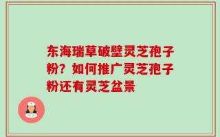 东海瑞草破壁灵芝孢子粉？如何推广灵芝孢子粉还有灵芝盆景