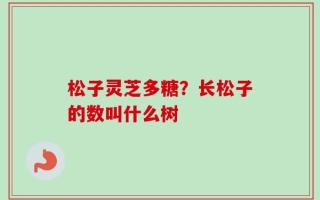 松子灵芝多糖？长松子的数叫什么树