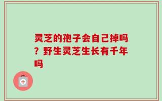 灵芝的孢子会自己掉吗？野生灵芝生长有千年吗