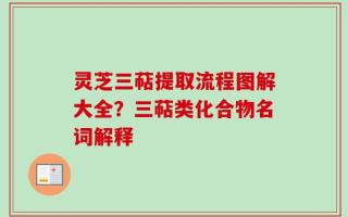 灵芝三萜提取流程图解大全？三萜类化合物名词解释