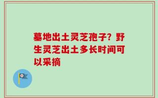 墓地出土灵芝孢子？野生灵芝出土多长时间可以采摘