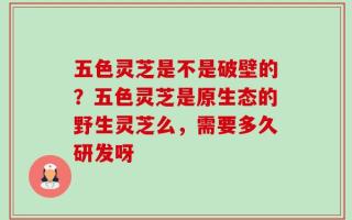 五色灵芝是不是破壁的？五色灵芝是原生态的野生灵芝么，需要多久研发呀