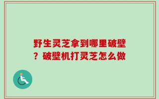 野生灵芝拿到哪里破壁？破壁机打灵芝怎么做