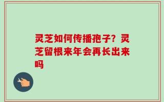 灵芝如何传播孢子？灵芝留根来年会再长出来吗