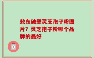 敖东破壁灵芝孢子粉图片？灵芝孢子粉哪个品牌的最好