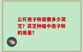 公斤孢子粉需要多少灵芝？灵芝种植中孢子粉的用量？