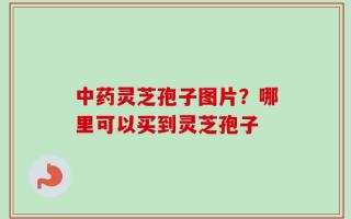 中药灵芝孢子图片？哪里可以买到灵芝孢子
