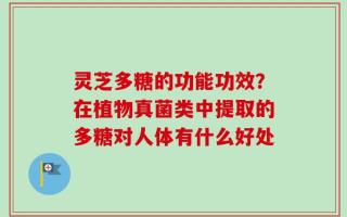 灵芝多糖的功能功效？在植物真菌类中提取的多糖对人体有什么好处