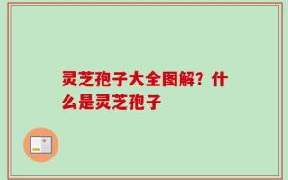 灵芝孢子大全图解？什么是灵芝孢子