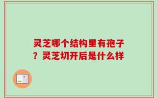 灵芝哪个结构里有孢子？灵芝切开后是什么样