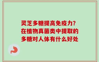 灵芝多糖提高免疫力？在植物真菌类中提取的多糖对人体有什么好处