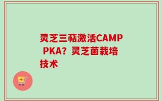 灵芝三萜激活CAMP PKA？灵芝菌栽培技术